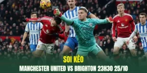 Manchester United vs Brighton đang cực kỳ khát điểm